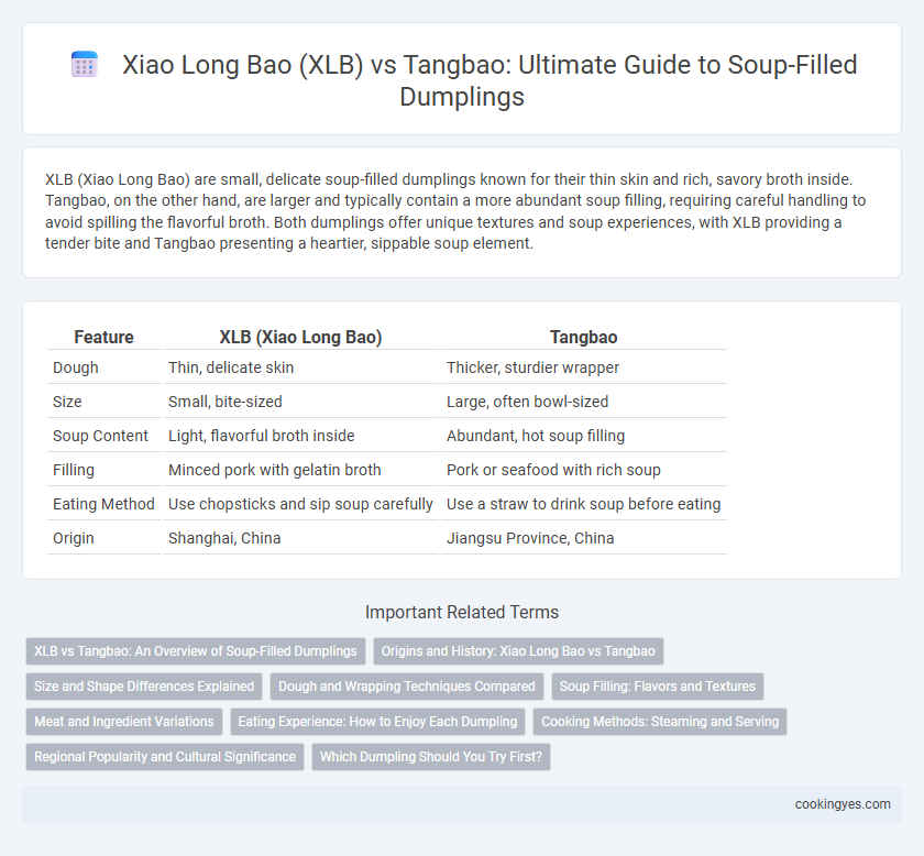Xiao Long Bao (XLB) vs Tangbao: Ultimate Guide to Soup-Filled Dumplings