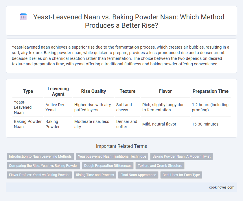Yeast-Leavened Naan vs. Baking Powder Naan: Which Method Produces a Better Rise?