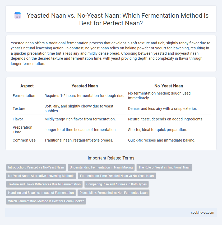 Yeasted Naan vs. No-Yeast Naan: Which Fermentation Method is Best for Perfect Naan?