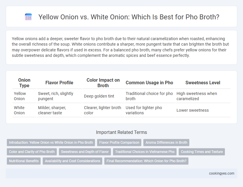 Yellow Onion vs. White Onion: Which Is Best for Pho Broth?
