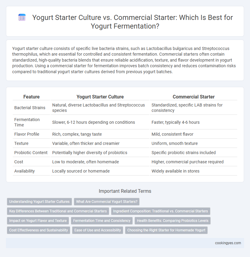 Yogurt Starter Culture vs. Commercial Starter: Which Is Best for Yogurt Fermentation?