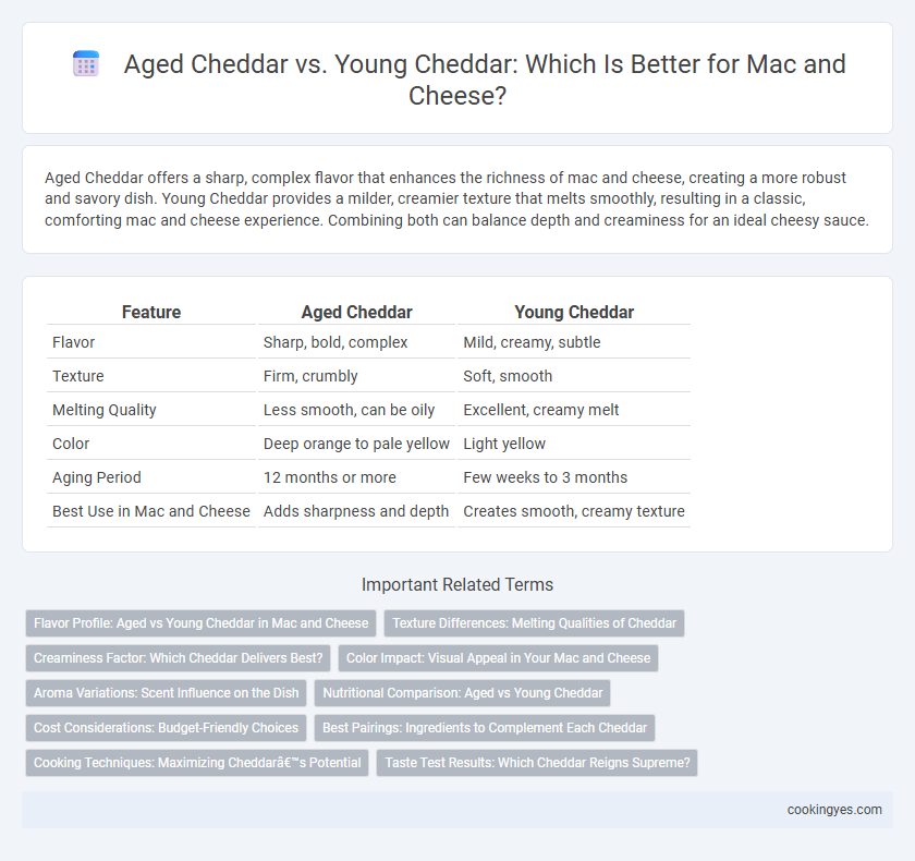 Aged Cheddar vs. Young Cheddar: Which Is Better for Mac and Cheese?