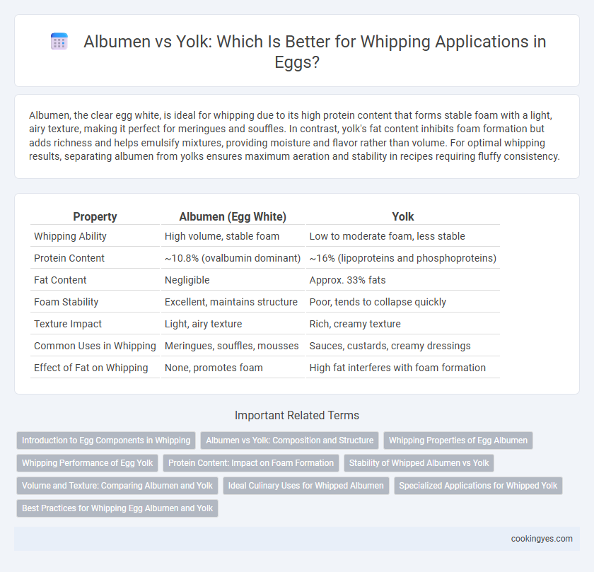 Albumen vs Yolk: Which Is Better for Whipping Applications in Eggs?