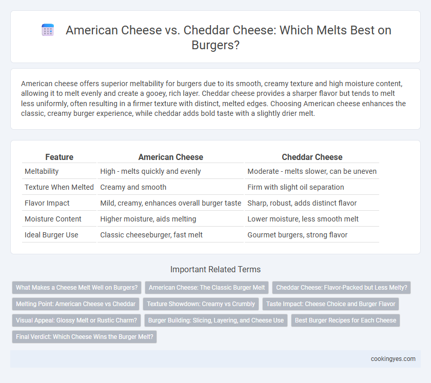 American Cheese vs. Cheddar Cheese: Which Melts Best on Burgers?