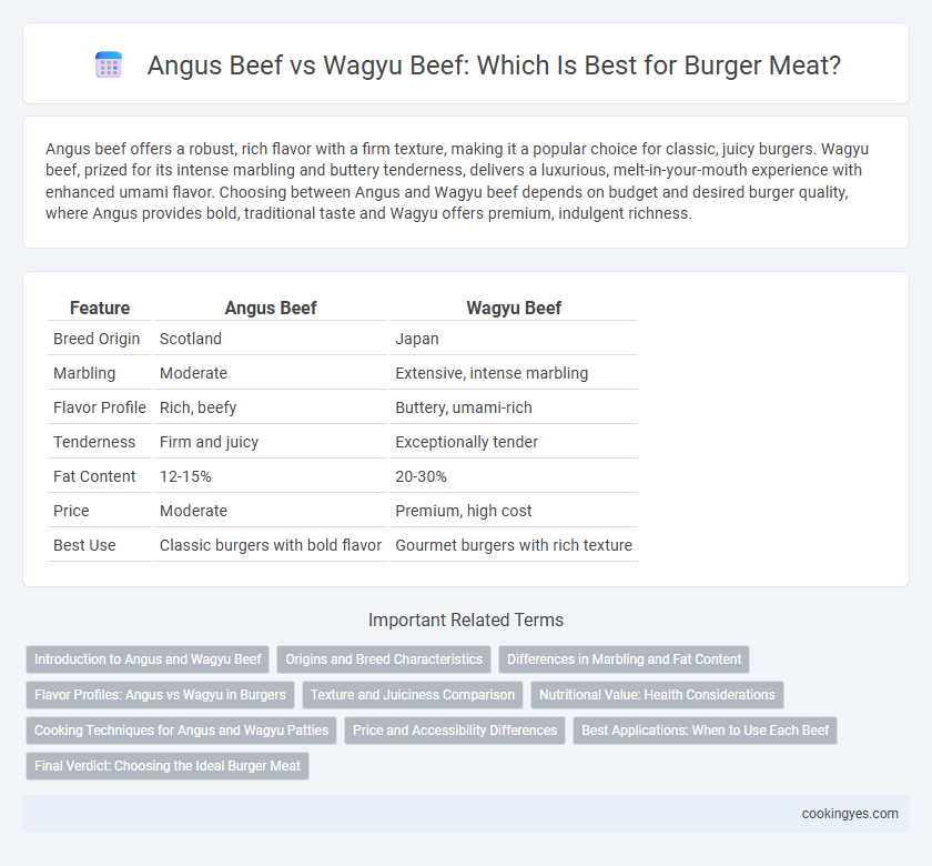 Angus Beef vs Wagyu Beef: Which Is Best for Burger Meat?