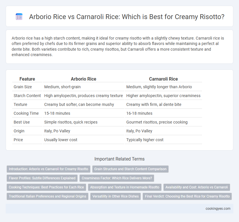Arborio Rice vs Carnaroli Rice: Which is Best for Creamy Risotto?