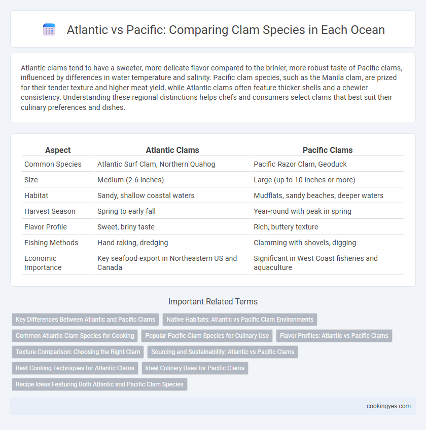 Atlantic vs Pacific: Comparing Clam Species in Each Ocean