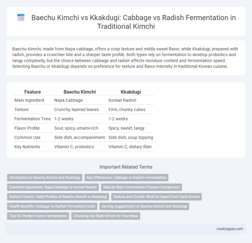 Baechu Kimchi vs Kkakdugi: Cabbage vs Radish Fermentation in Traditional Kimchi