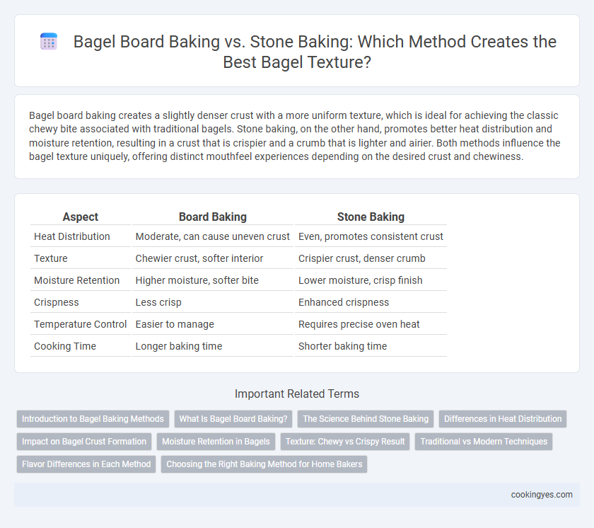 Bagel Board Baking vs. Stone Baking: Which Method Creates the Best Bagel Texture?