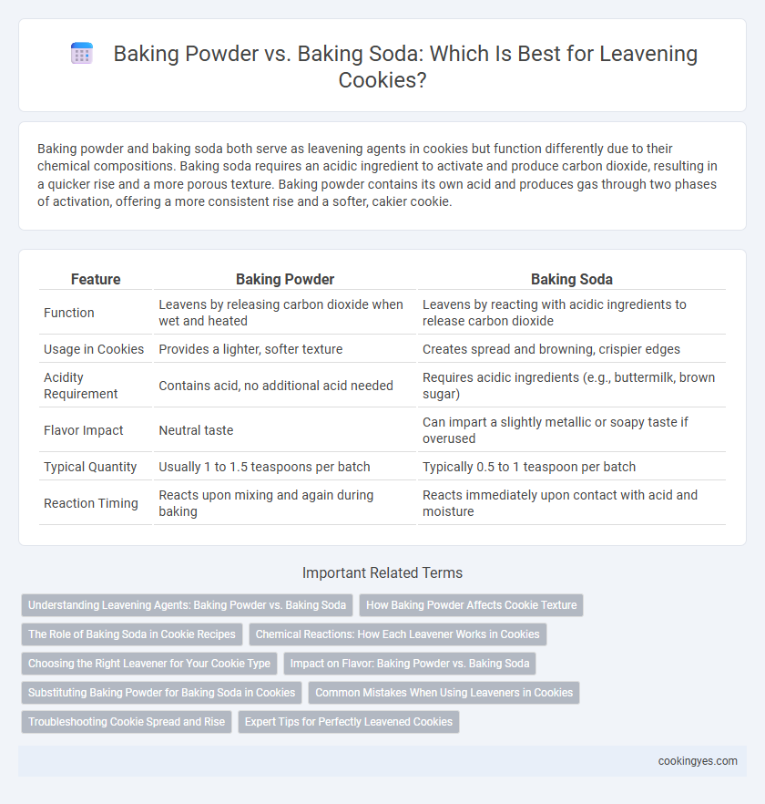 Baking Powder vs. Baking Soda: Which Is Best for Leavening Cookies?