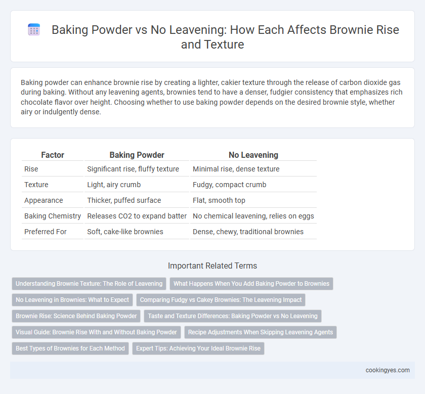 Baking Powder vs No Leavening: How Each Affects Brownie Rise and Texture