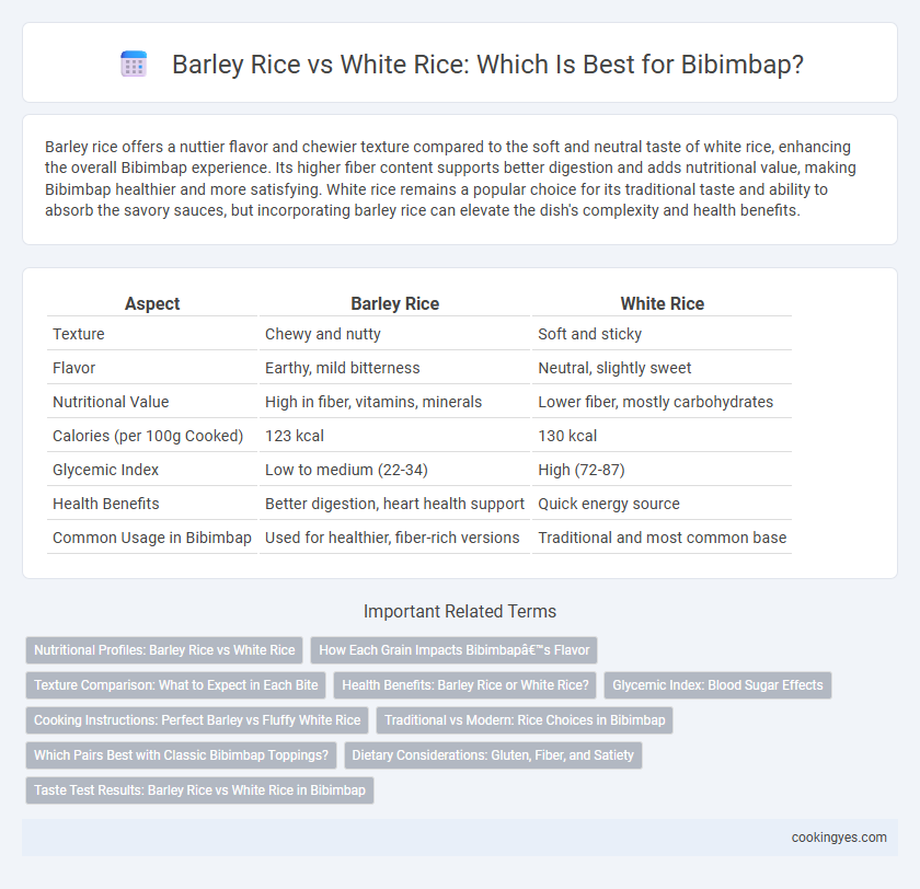 Barley Rice vs White Rice: Which Is Best for Bibimbap?