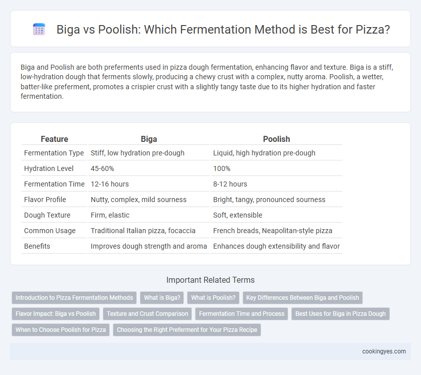 Biga vs Poolish: Which Fermentation Method is Best for Pizza?