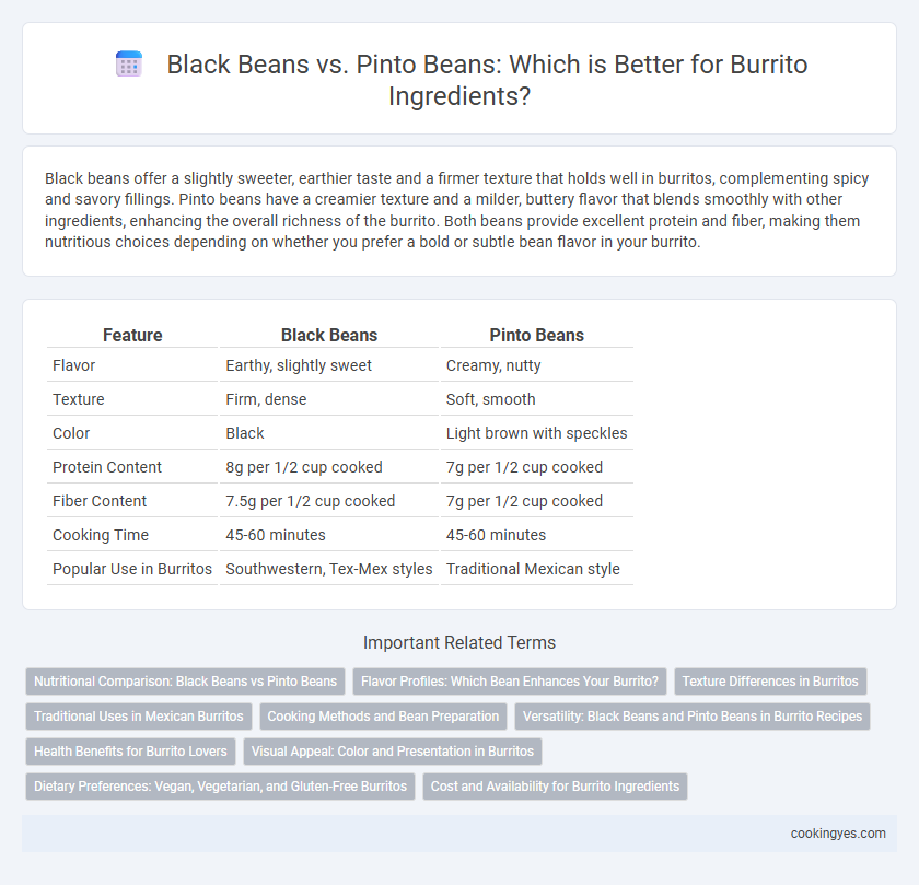Black Beans vs. Pinto Beans: Which is Better for Burrito Ingredients?