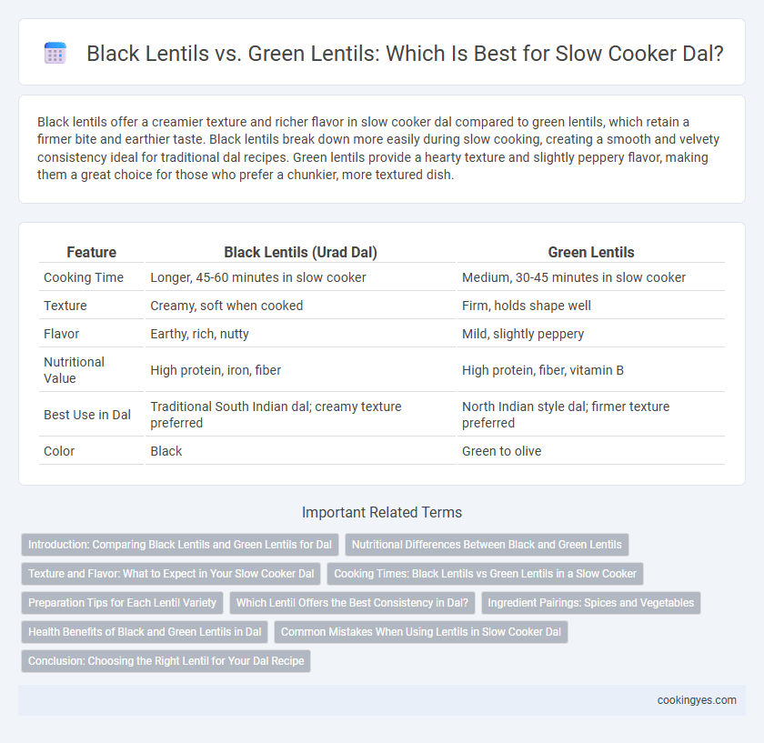 Black Lentils vs. Green Lentils: Which Is Best for Slow Cooker Dal?
