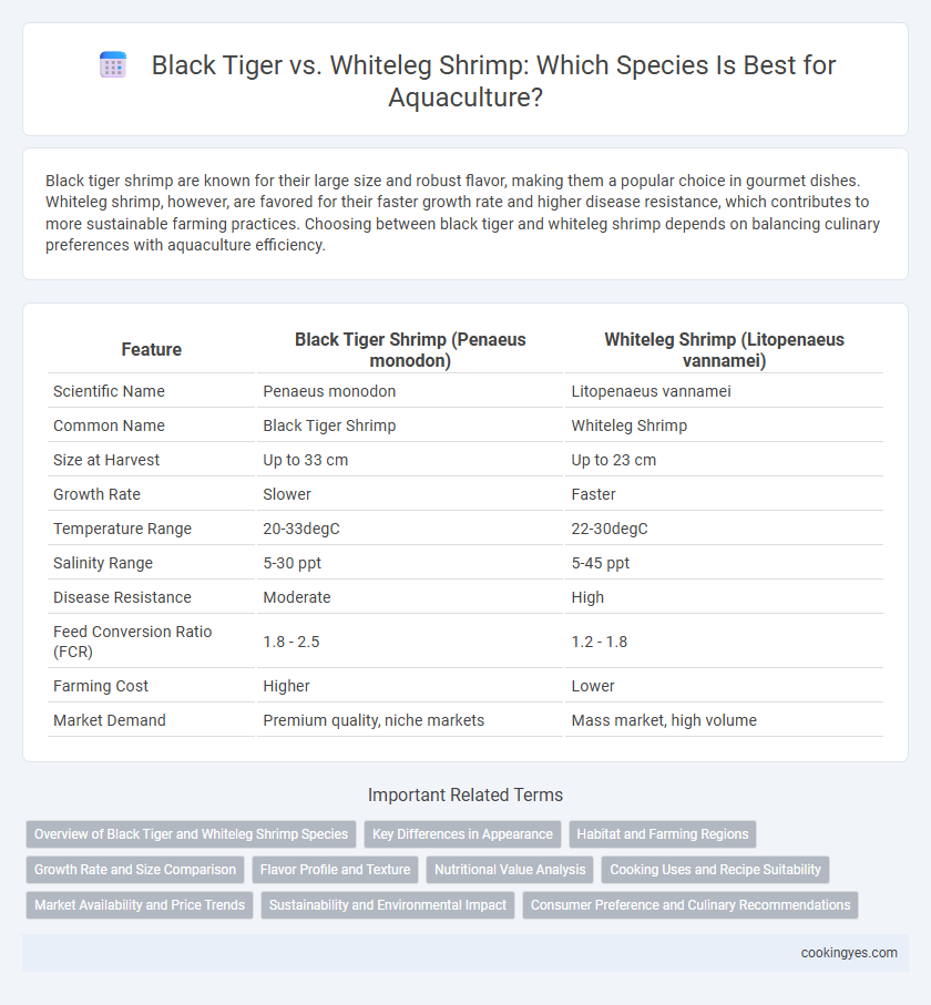 Black Tiger vs. Whiteleg Shrimp: Which Species Is Best for Aquaculture?