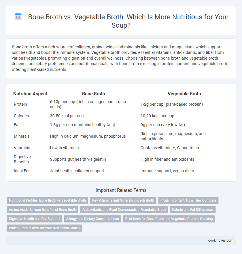 Bone Broth vs. Vegetable Broth: Which Is More Nutritious for Your Soup?