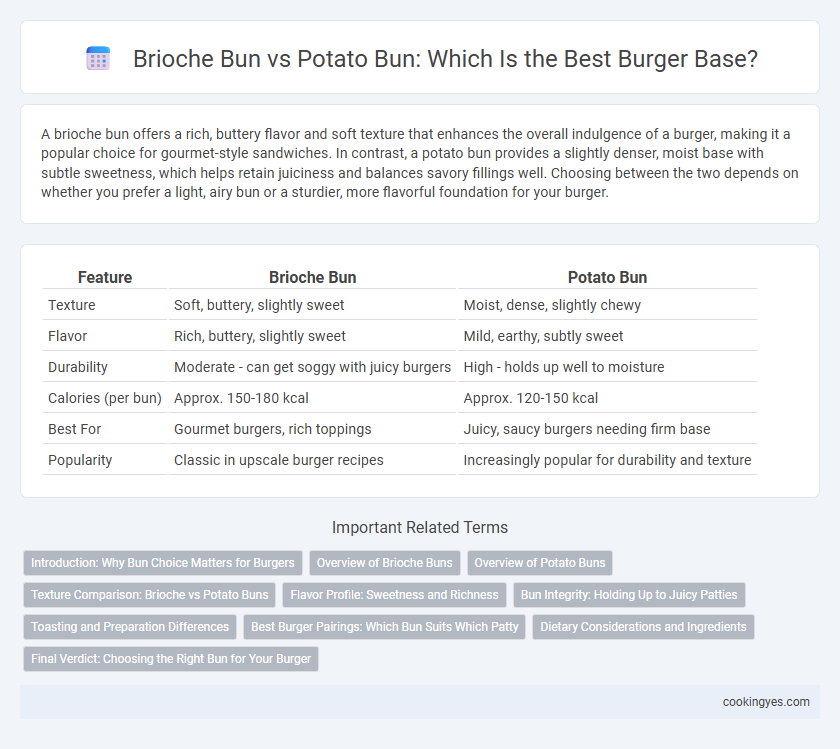 Brioche Bun vs Potato Bun: Which Is the Best Burger Base?