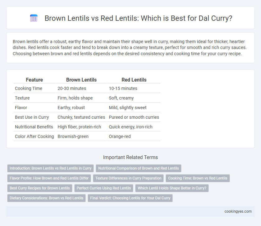 Brown Lentils vs Red Lentils: Which is Best for Dal Curry?