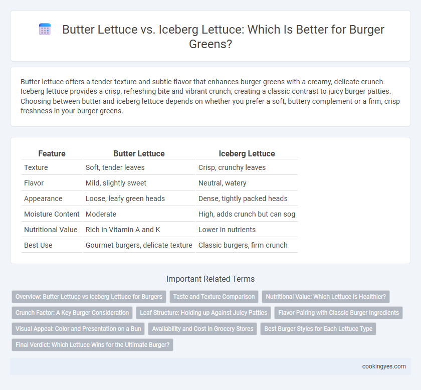 Butter Lettuce vs. Iceberg Lettuce: Which Is Better for Burger Greens?