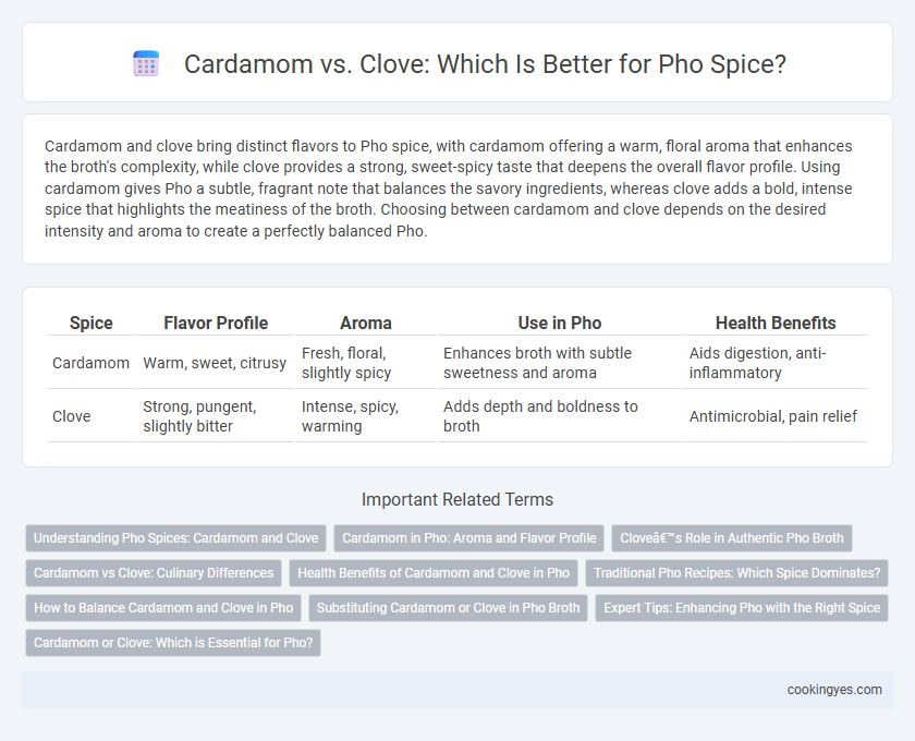 Cardamom vs. Clove: Which Is Better for Pho Spice?