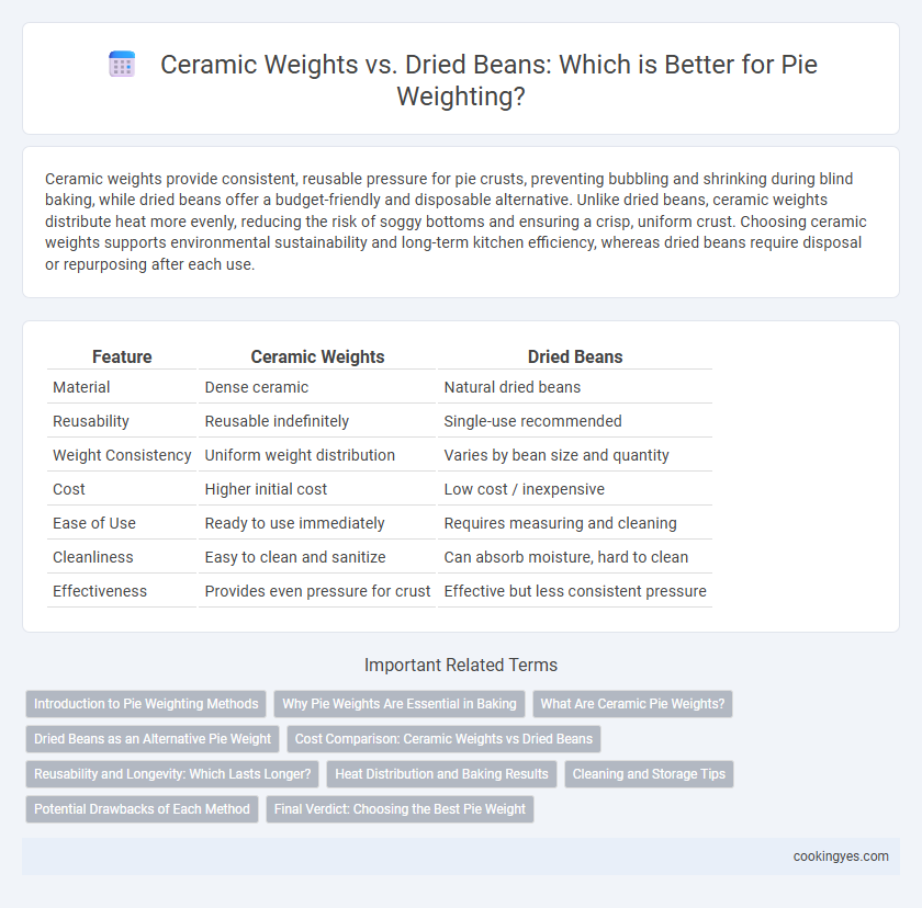 Ceramic Weights vs. Dried Beans: Which is Better for Pie Weighting?