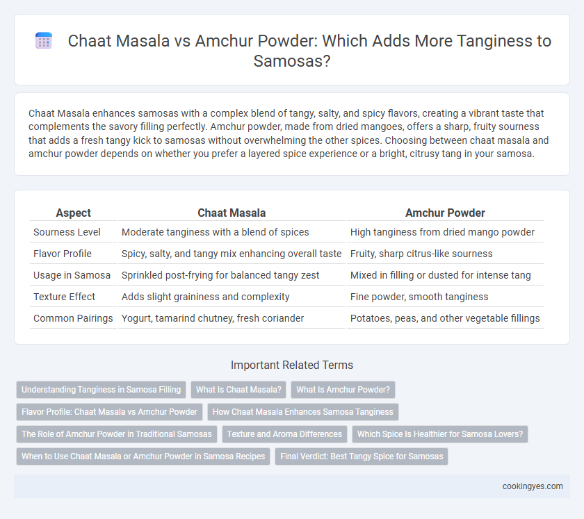 Chaat Masala vs Amchur Powder: Which Adds More Tanginess to Samosas?