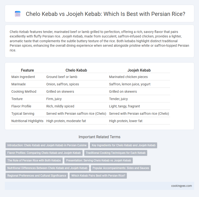Chelo Kebab vs Joojeh Kebab: Which Is Best with Persian Rice?