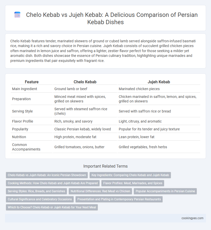Chelo Kebab vs Jujeh Kebab: A Delicious Comparison of Persian Kebab Dishes