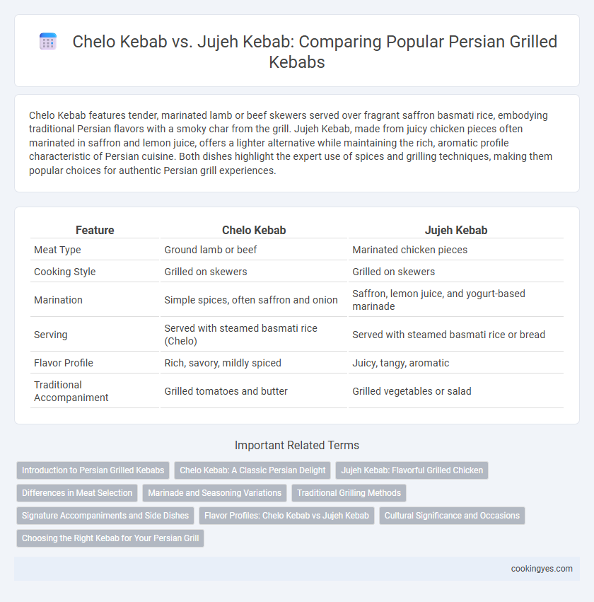 Chelo Kebab vs. Jujeh Kebab: Comparing Popular Persian Grilled Kebabs