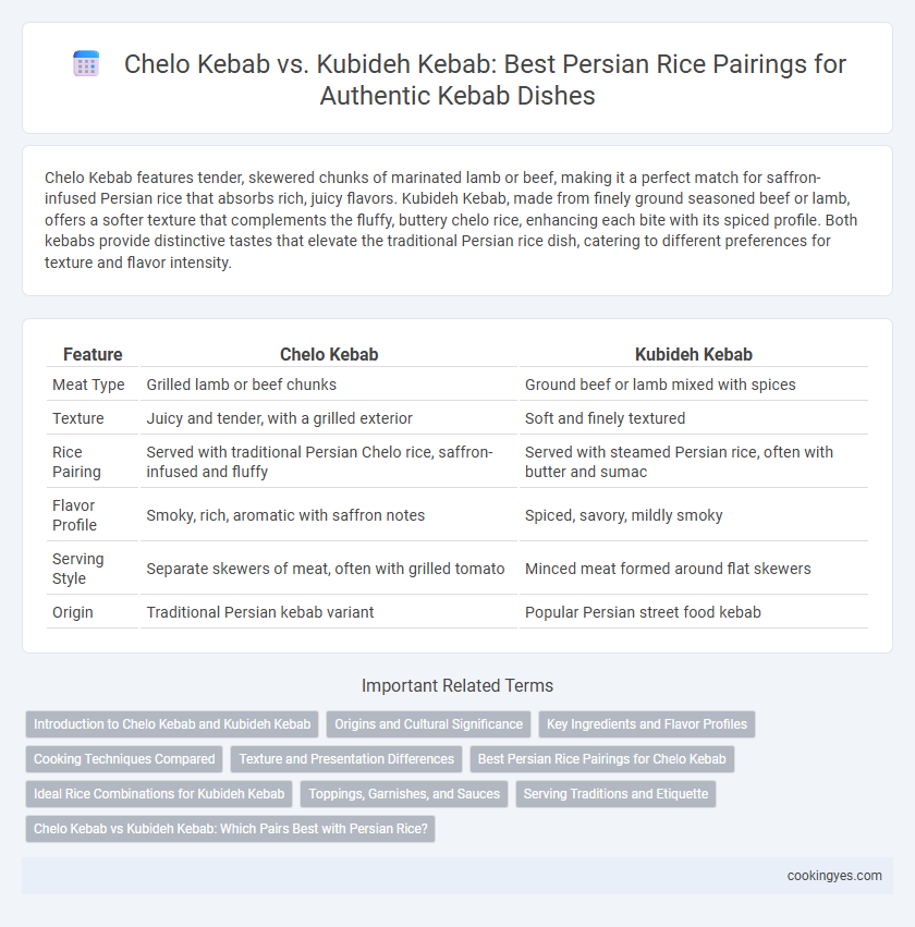 Chelo Kebab vs. Kubideh Kebab: Best Persian Rice Pairings for Authentic Kebab Dishes