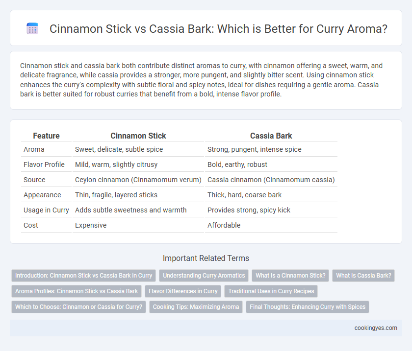 Cinnamon Stick vs Cassia Bark: Which is Better for Curry Aroma?