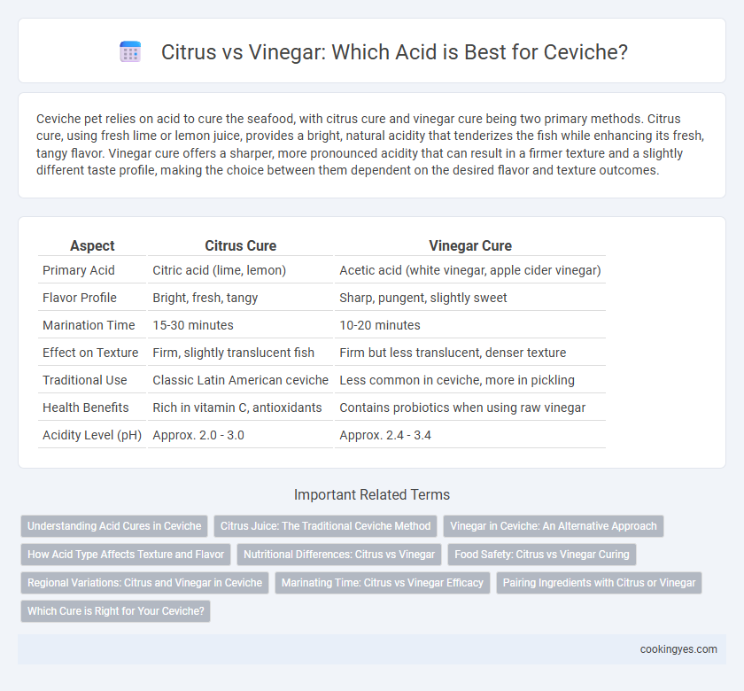 Citrus vs Vinegar: Which Acid is Best for Ceviche?