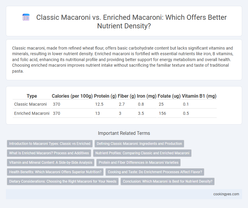 Classic Macaroni vs. Enriched Macaroni: Which Offers Better Nutrient Density?