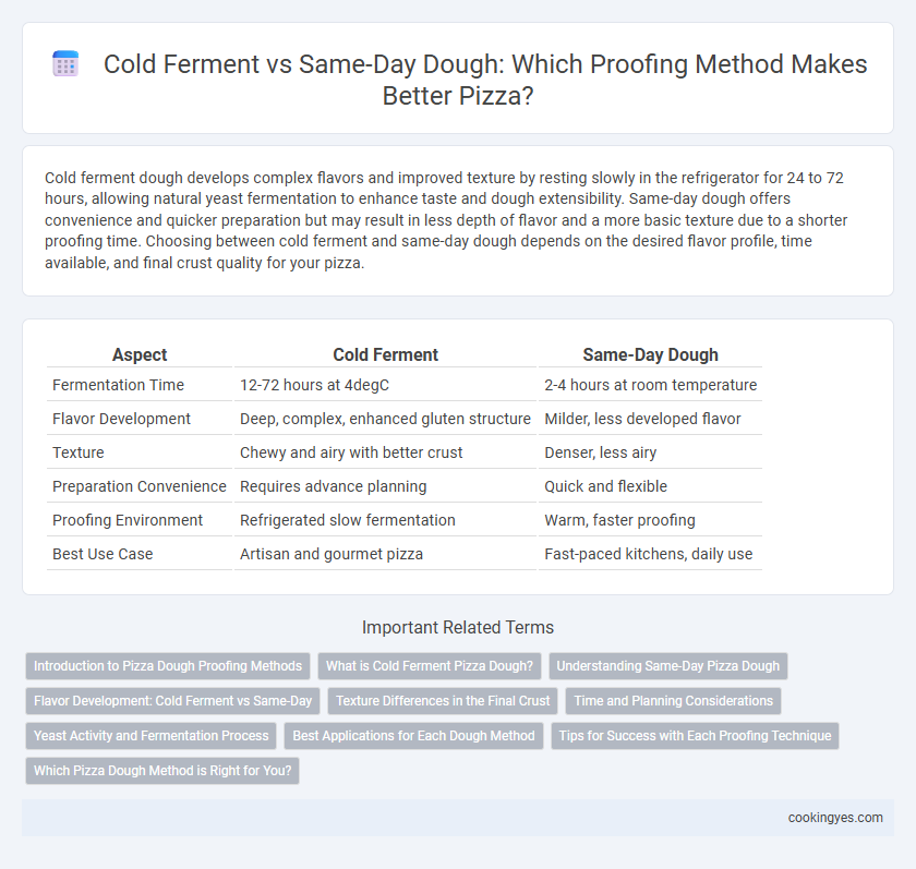 Cold Ferment vs Same-Day Dough: Which Proofing Method Makes Better Pizza?