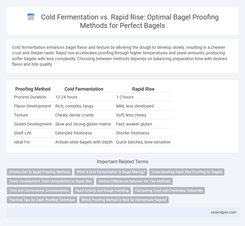 Cold Fermentation vs. Rapid Rise: Optimal Bagel Proofing Methods for Perfect Bagels