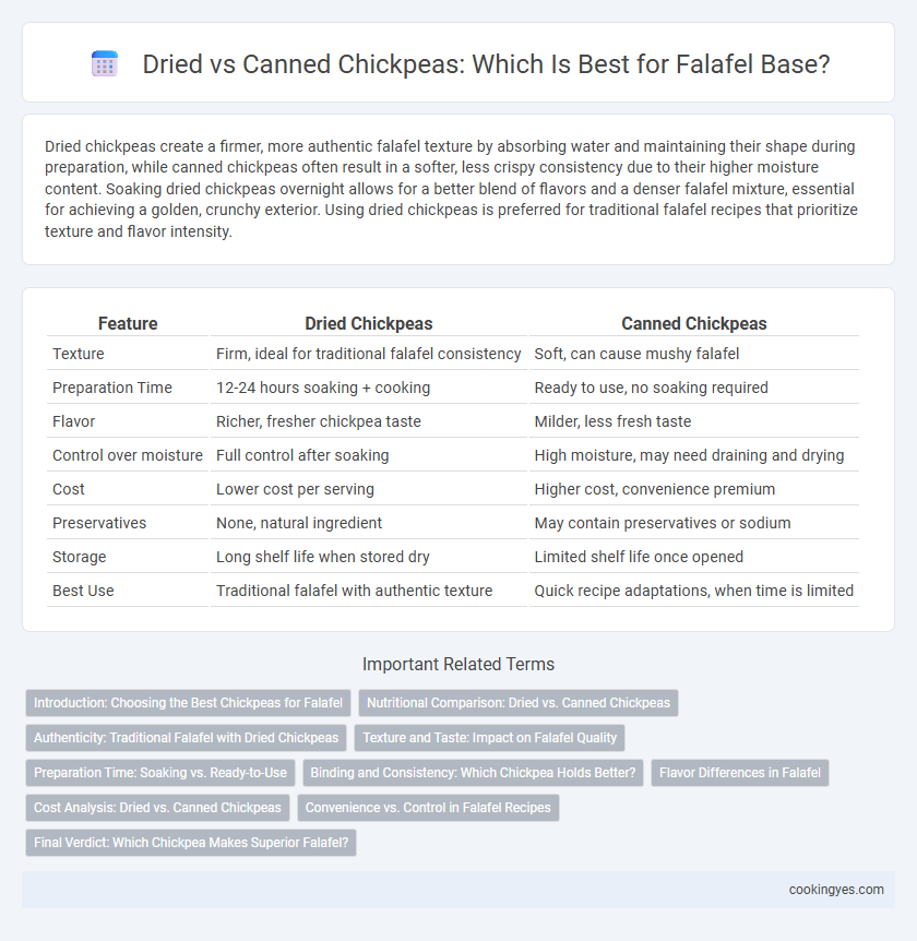 Dried vs Canned Chickpeas: Which Is Best for Falafel Base?