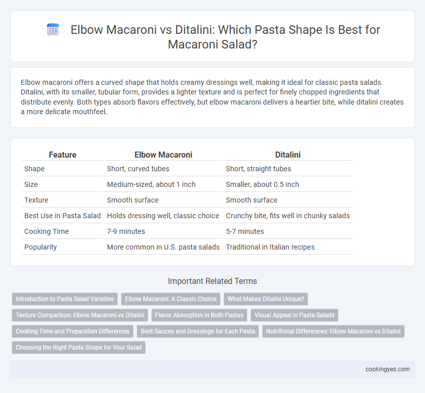 Elbow Macaroni vs Ditalini: Which Pasta Shape Is Best for Macaroni Salad?