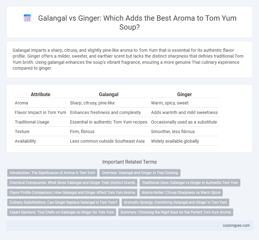 Galangal vs Ginger: Which Adds the Best Aroma to Tom Yum Soup?