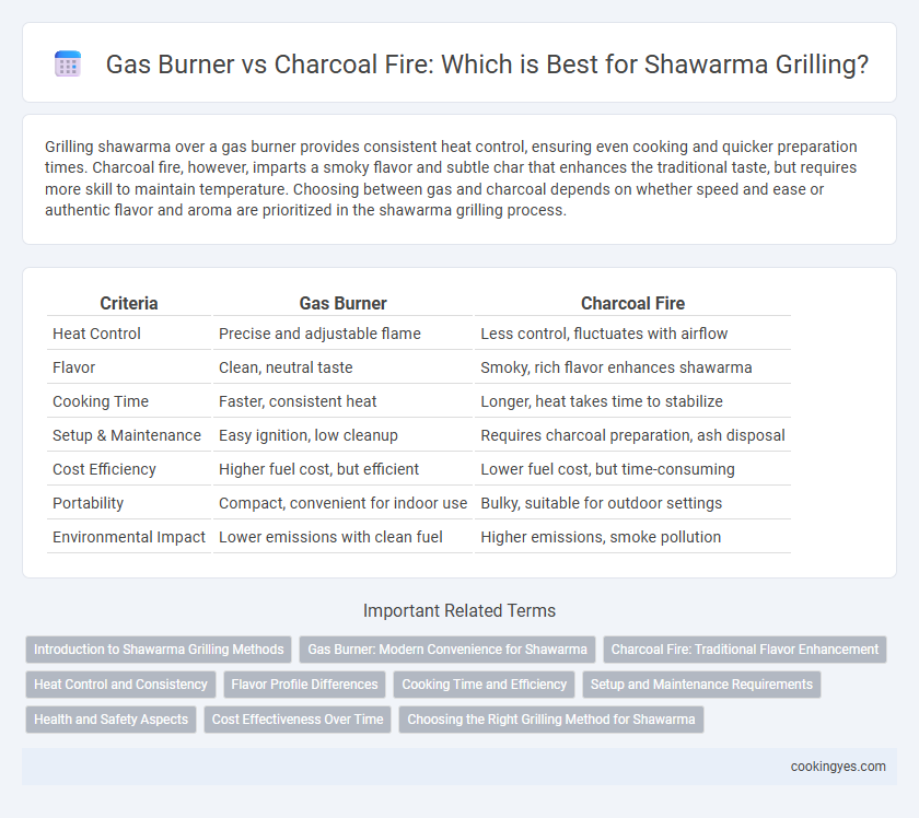 Gas Burner vs Charcoal Fire: Which is Best for Shawarma Grilling?