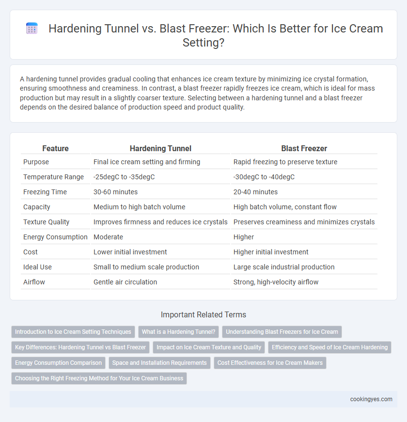 Hardening Tunnel vs. Blast Freezer: Which Is Better for Ice Cream Setting?