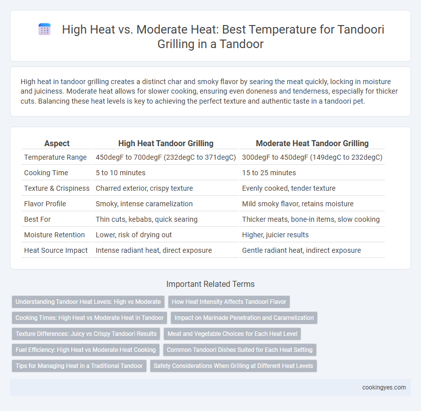 High Heat vs. Moderate Heat: Best Temperature for Tandoori Grilling in a Tandoor