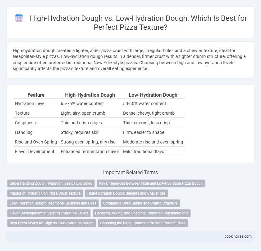 High-Hydration Dough vs. Low-Hydration Dough: Which Is Best for Perfect Pizza Texture?