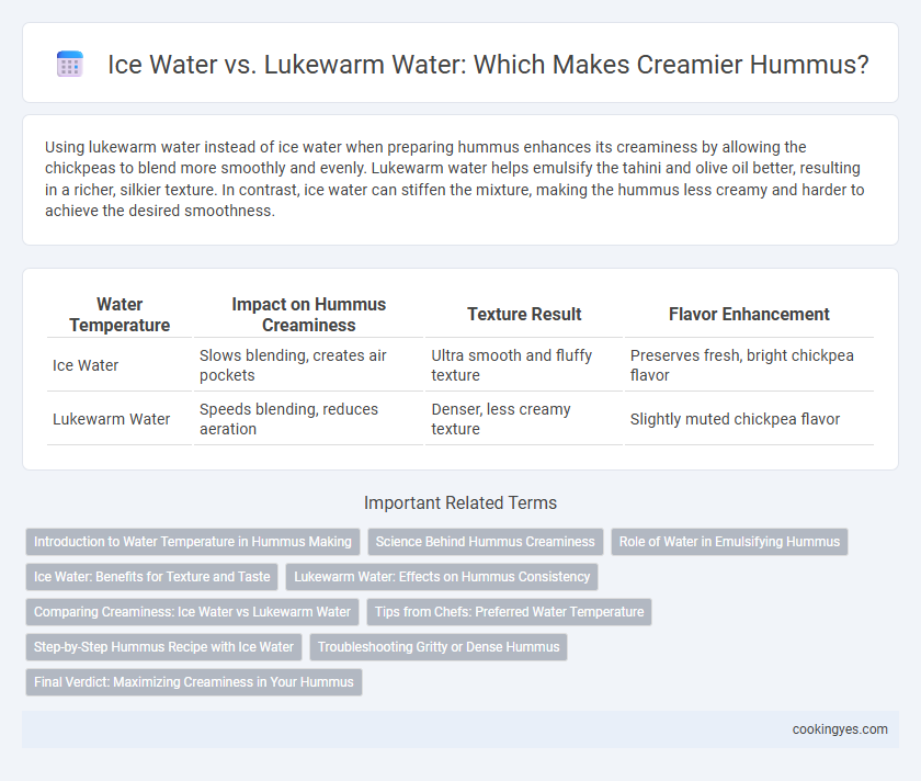 Ice Water vs. Lukewarm Water: Which Makes Creamier Hummus?