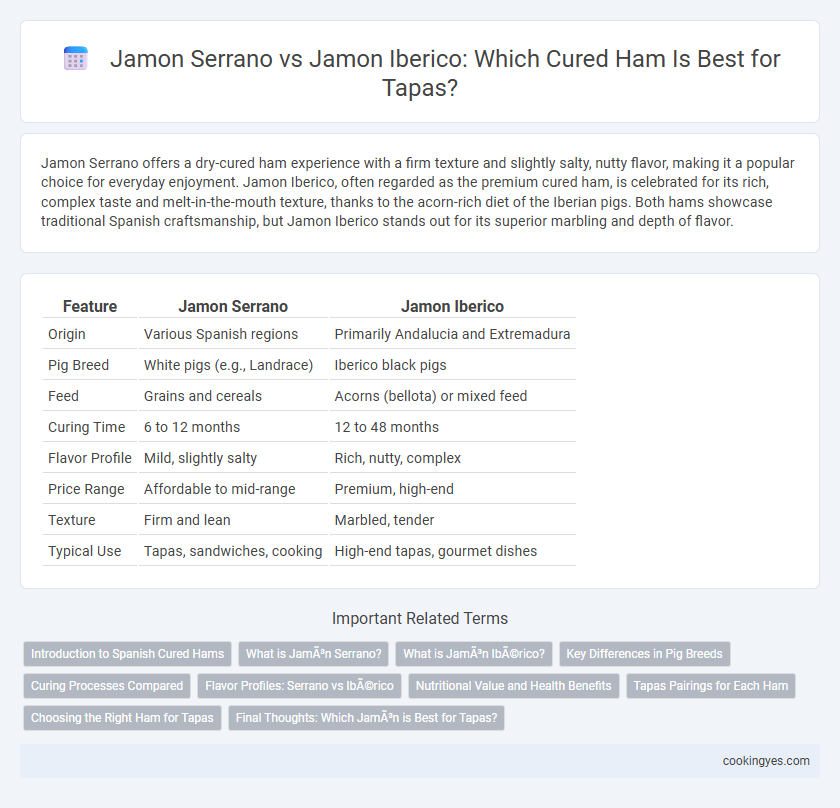 Jamon Serrano vs Jamon Iberico: Which Cured Ham Is Best for Tapas?