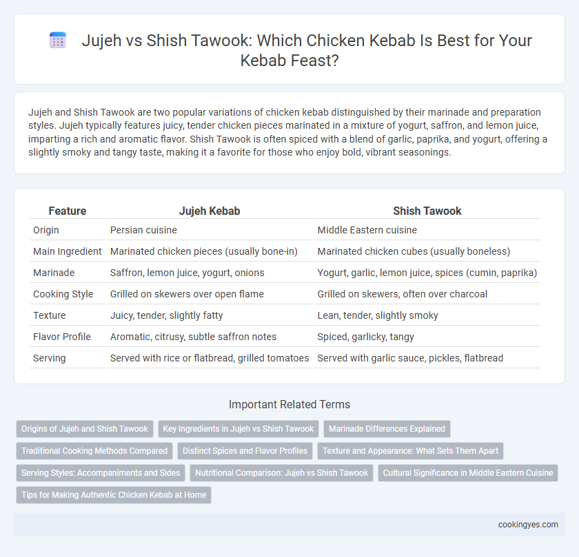 Jujeh vs Shish Tawook: Which Chicken Kebab Is Best for Your Kebab Feast?