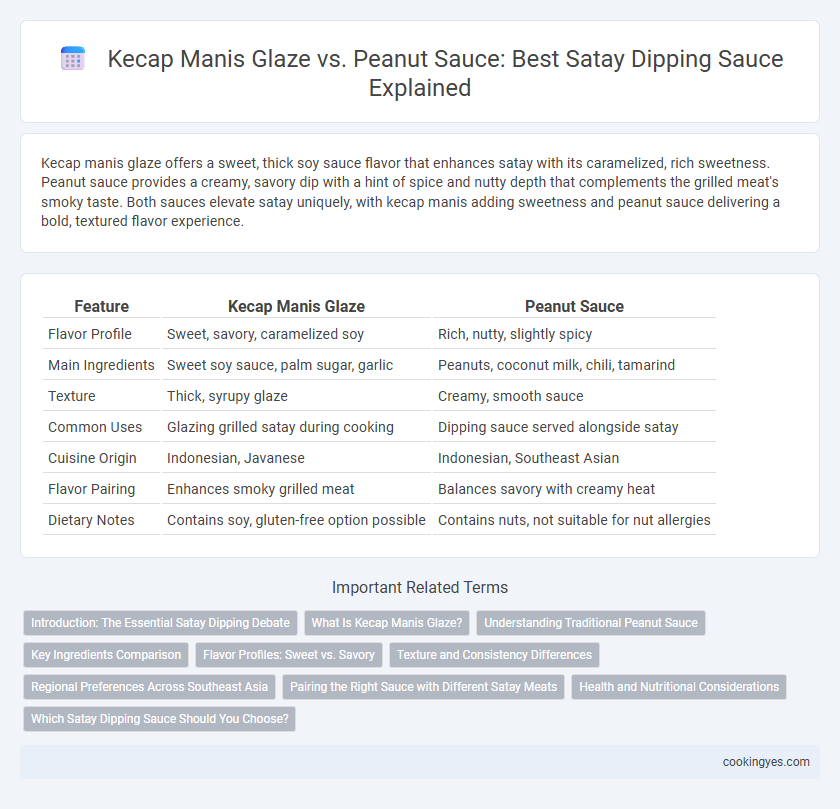 Kecap Manis Glaze vs. Peanut Sauce: Best Satay Dipping Sauce Explained