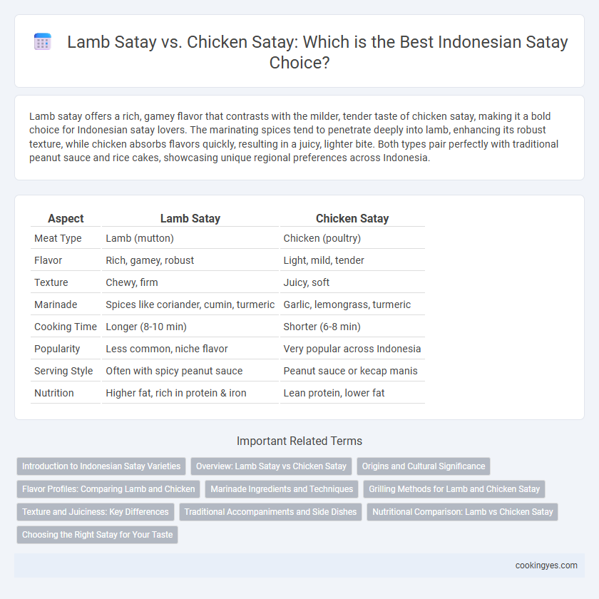 Lamb Satay vs. Chicken Satay: Which is the Best Indonesian Satay Choice?