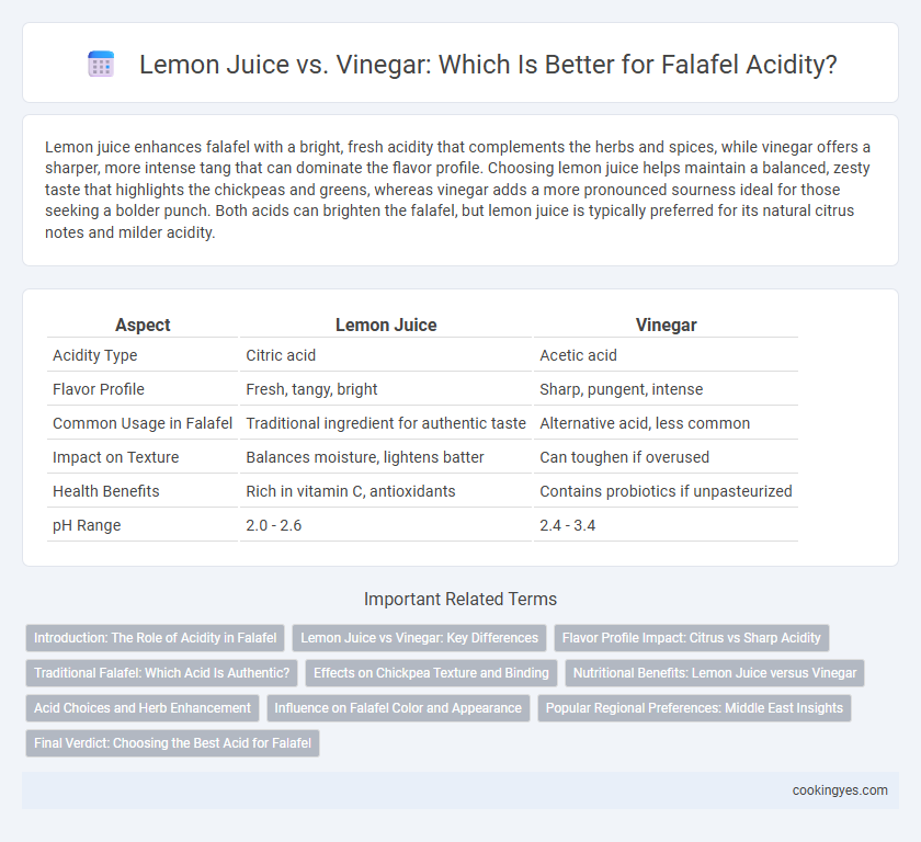 Lemon Juice vs. Vinegar: Which Is Better for Falafel Acidity?