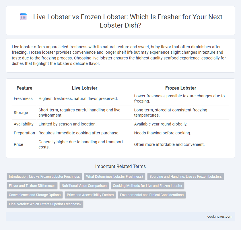 Live Lobster vs Frozen Lobster: Which Is Fresher for Your Next Lobster Dish?